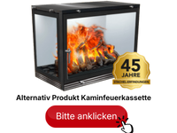 Kaminfeuerkassette (1)
