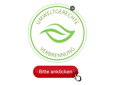 Kaminfeuerkassette (2)